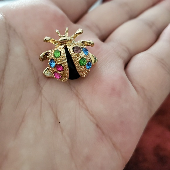 Multicolored dainty crystal ladybug brootch - Picture 3 of 4